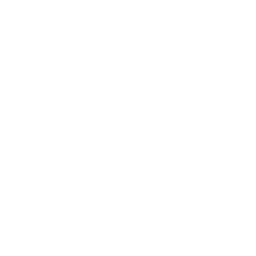 Logo for EZCORP Inc