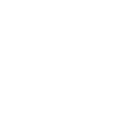 Logo for Dorman Products Inc
