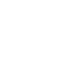 Logo for Tritium DCFC Limited