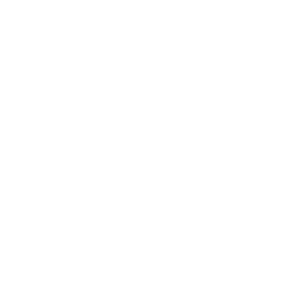 Logo for NetSol Technologies Inc