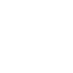 Logo for Sensus Healthcare Inc