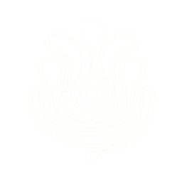 Logo for Puig Brands S.A.
