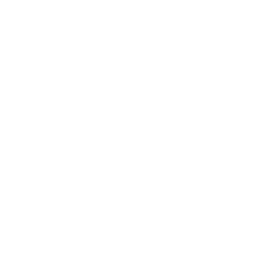 Logo for United Homes Group Inc