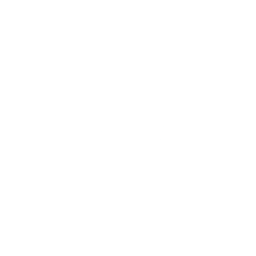 Logo for Pick n Pay Stores Limited