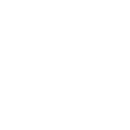 Logo for Viking Holdings Ltd