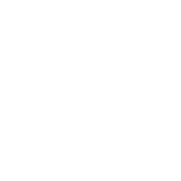 Logo for Embraer S.A.