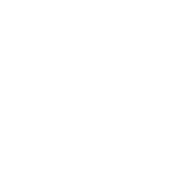 Logo for Pinstripes Holdings Inc