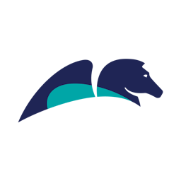 Logo for Pegasystems Inc