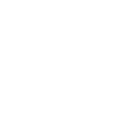 Logo for DSV