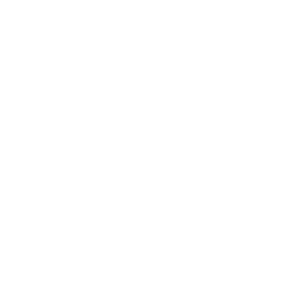 Logo for MSA Safety Inc