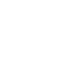 Logo for Netcapital Inc