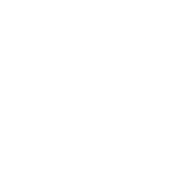 Logo for Netcapital Inc