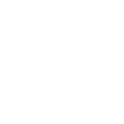 Logo for Fugro N.V.