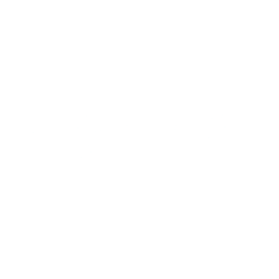 Logo for AIXTRON SE
