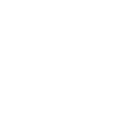 Logo for Austal Limited