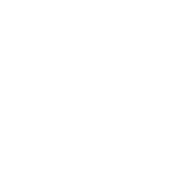 Logo for Eagle Bulk Shipping Inc
