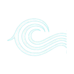 Logo for Coastal Financial Corporation