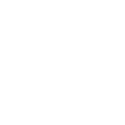 Logo for Racing Force S.P.A.