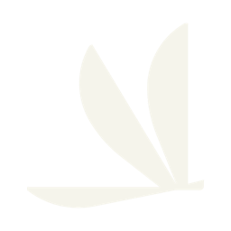 Logo for Volato Group Inc