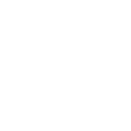 Logo for CAR Group Limited