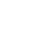 Logo for Bonzun