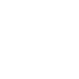 Logo for Industrie De Nora S.p.A.