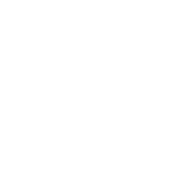 Logo for Eniro Group