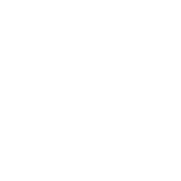 Logo for JBS S.A.