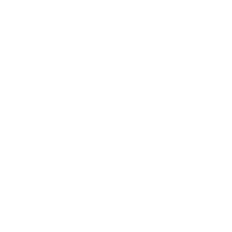 Logo for NNN REIT Inc