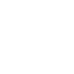 Logo for Bergs Timber