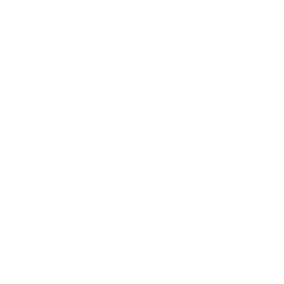 Logo for RediShred Capital Corp