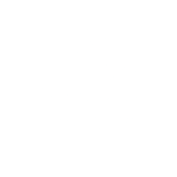 Logo for Moleculin Biotech Inc