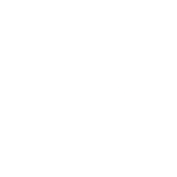 Logo for Magic Software Enterprises Limited