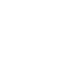 Logo for Netmore Group