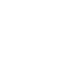 Logo for Sungrow Power Supply Co Ltd