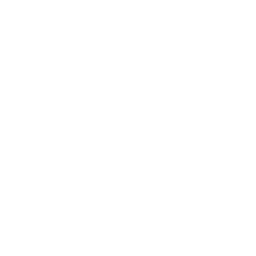 Logo for Carel Industries S.p.A