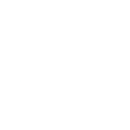 Logo for CNS Pharmaceuticals Inc