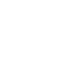 Logo for Carlyle Credit Income Fund