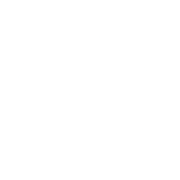 Logo for UL Solutions Inc