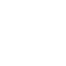 Logo for Canadian Net Real Estate Investment Trust