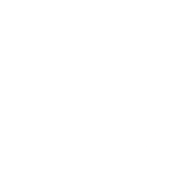 Logo for Smiths Group plc