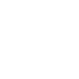 Logo for Ziccum