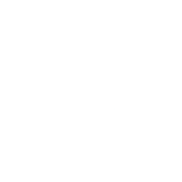 Logo for Nitto Denko Corporation