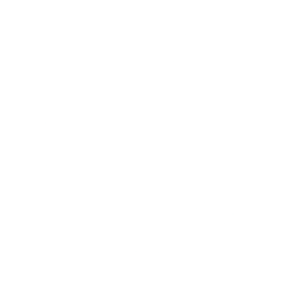 Logo for Cognyte Software Ltd