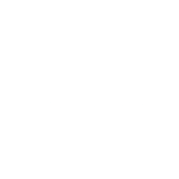 Logo for Antin Infrastructure Partners SAS