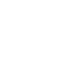 Logo for Neoen S.A.