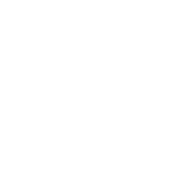 Logo for SNDL Inc