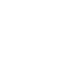 Logo for SCHOTT Pharma AG & Co. KGaA