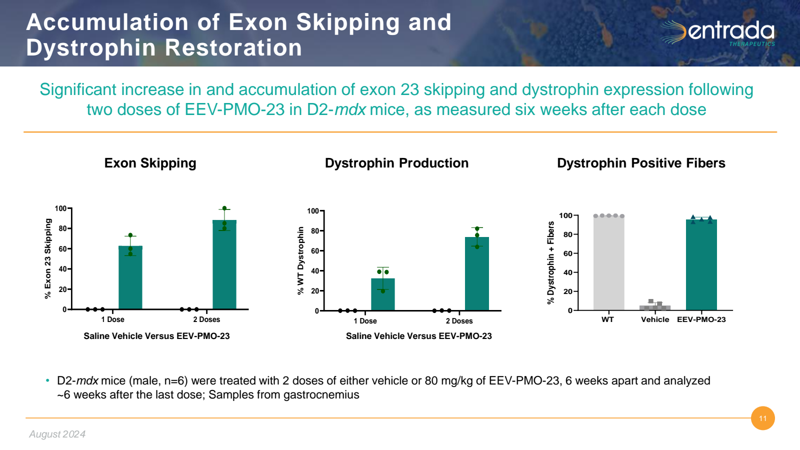 Accumulation of Exon