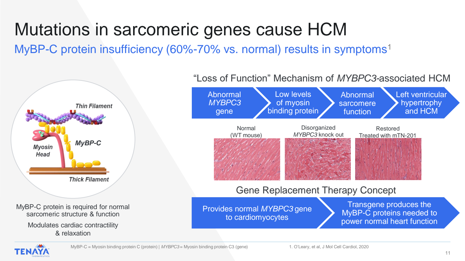 Mutations in sarcome